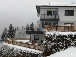 Appartement Franz Zell Am Ziller